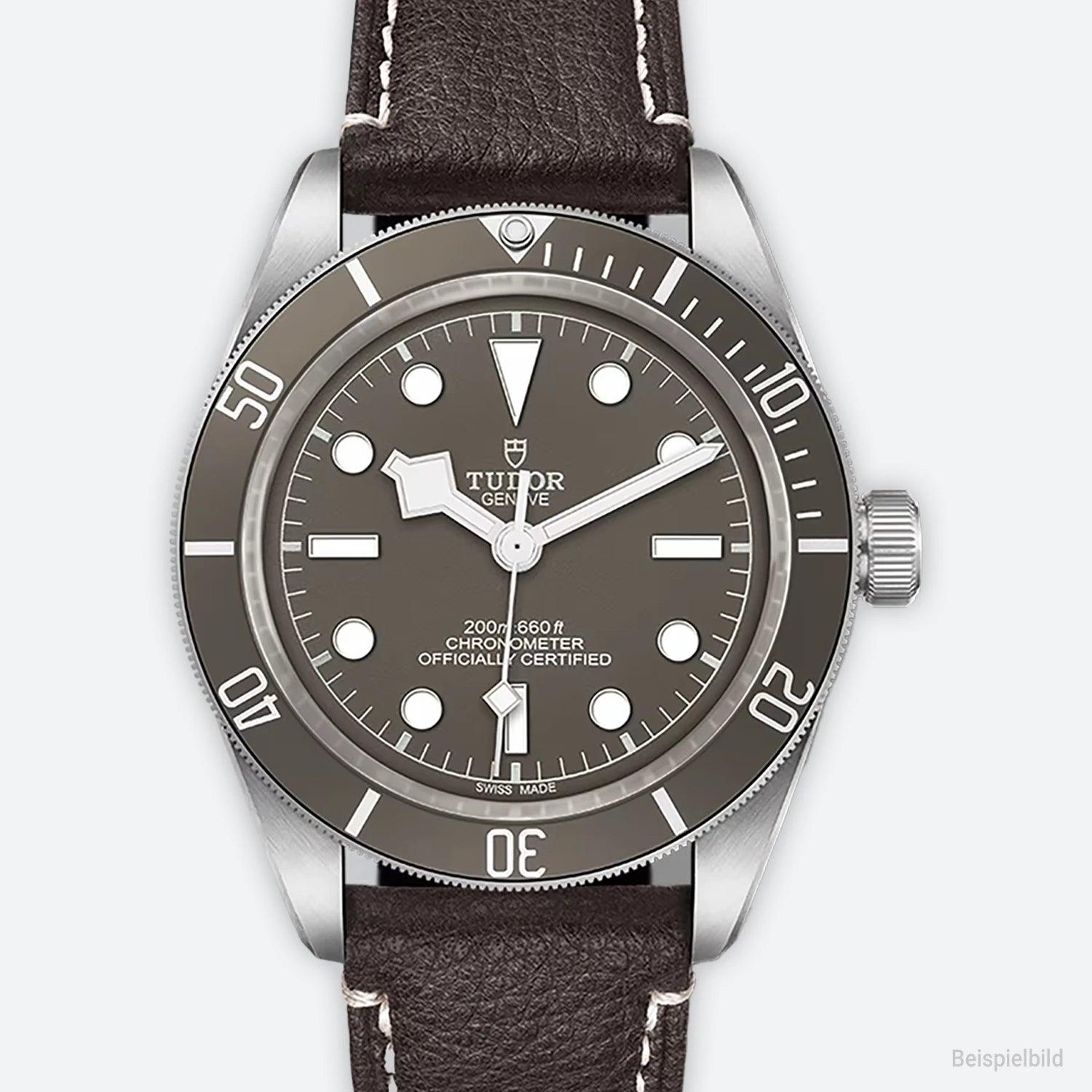 Tudor Black Bay S&G | M79010SG-0001
